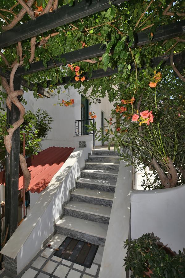 Πικροδάφνες Hotel Tinos Exterior photo