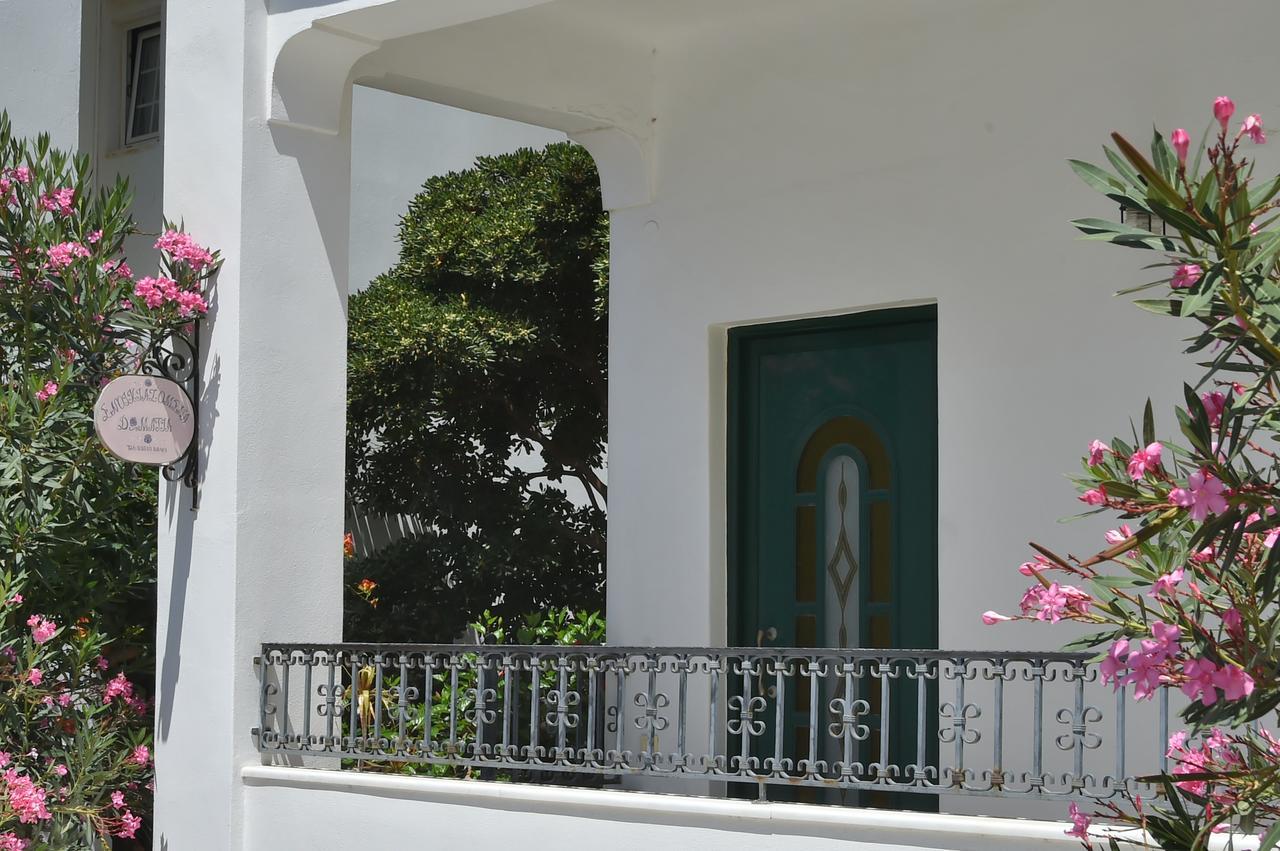 Πικροδάφνες Hotel Tinos Exterior photo